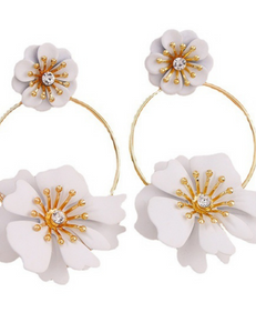 Camellia